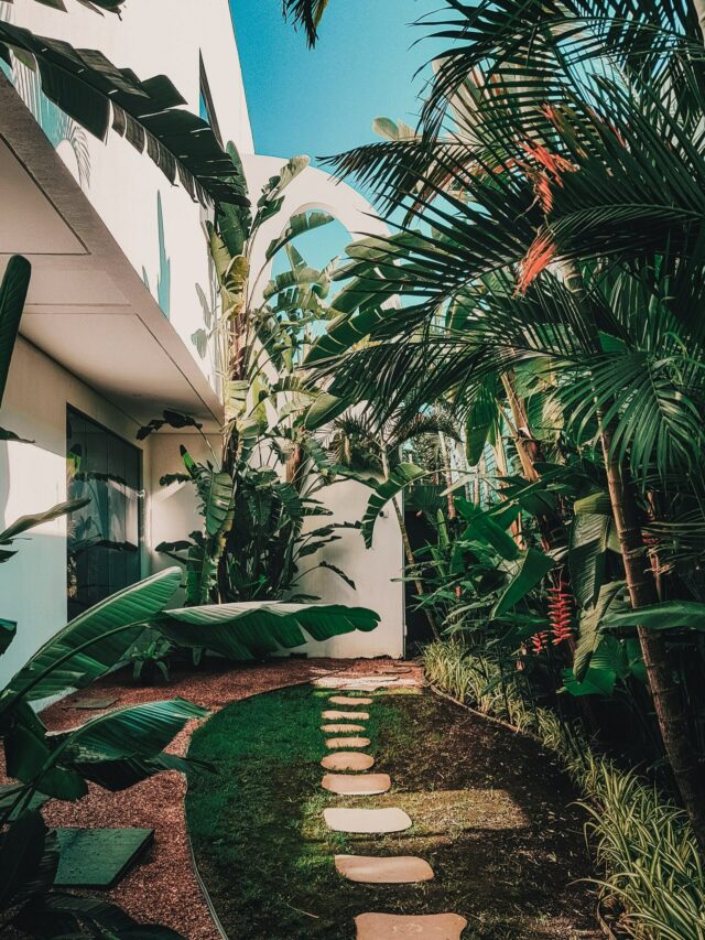 8 Vastu Tips for Your Home Garden