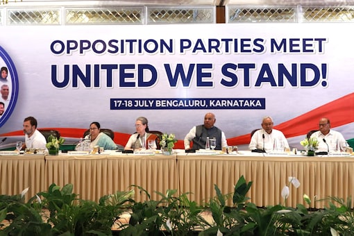 Most of the alliance partners of the UPA are involved in corruption cases or are dynasts. (PTI)